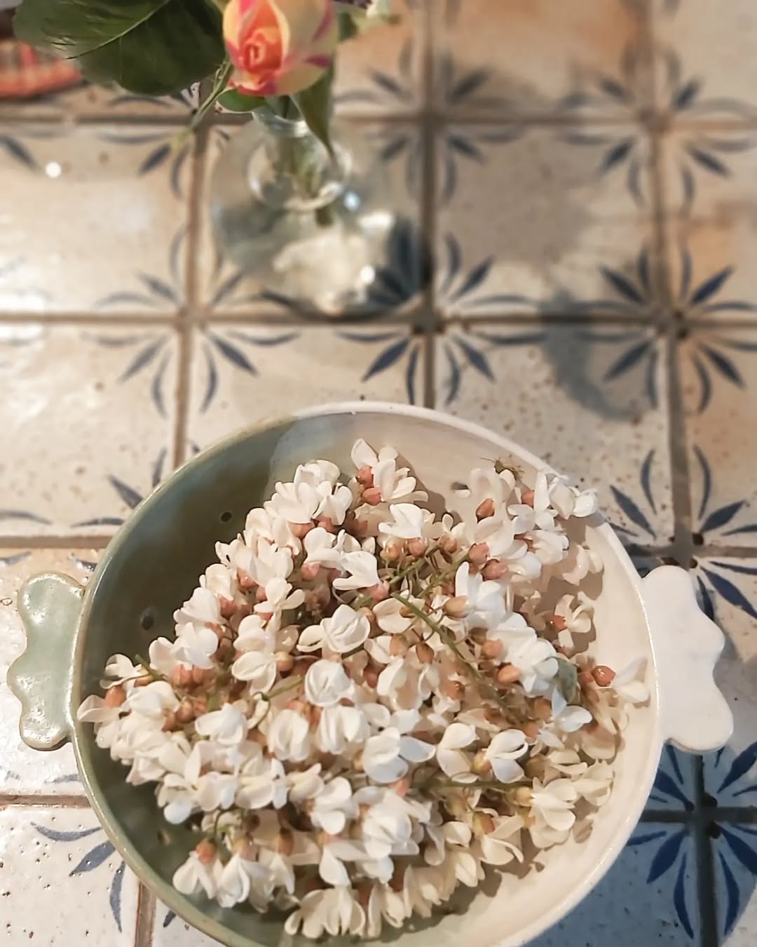 La Table d'hôtes Bol contenant des fleurs d'acacia